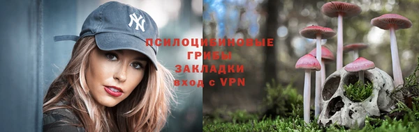 соль курить ск Алзамай