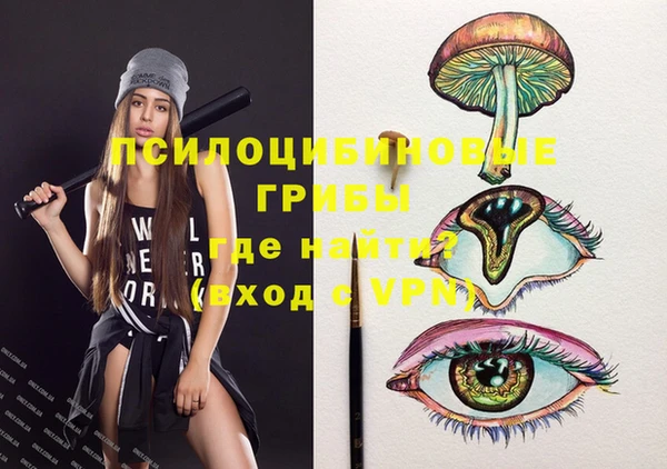 ГАЛЛЮЦИНОГЕННЫЕ ГРИБЫ Алексин