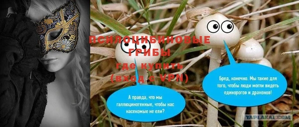 шишки Алексеевка