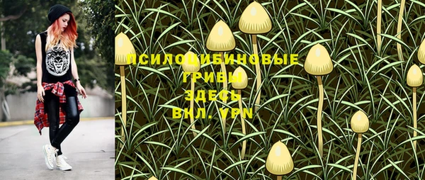 ГАЛЛЮЦИНОГЕННЫЕ ГРИБЫ Алексин