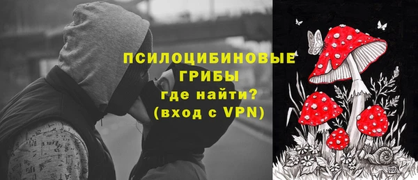 шишки Алексеевка