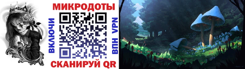 Галлюциногенные грибы Psilocybe  Глазов 